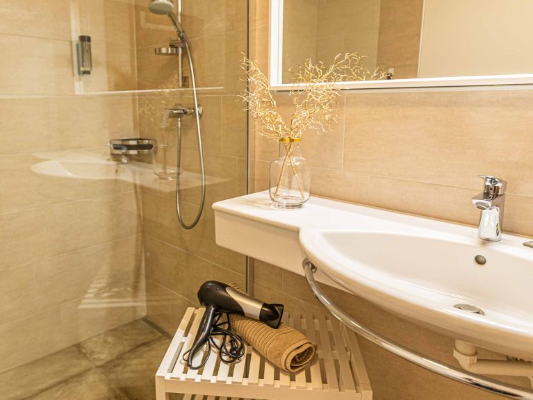 Appartement Tevini Schmittenblick