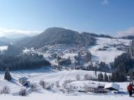 Chalet Alpendorf Dachstein-West Alpenrose-16