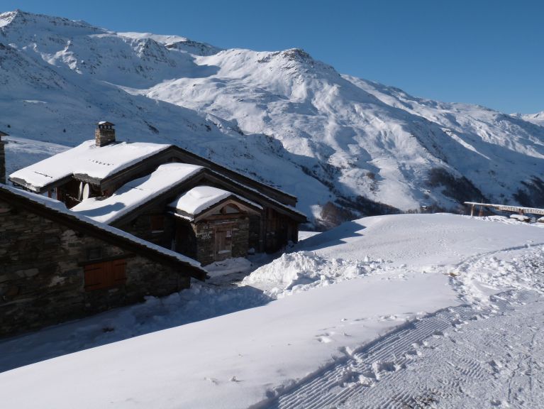 Chalet Necou met sauna