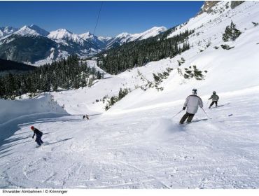 Skidorp Gezellig en pittoresk wintersportdorp met veel mogelijkheden-8