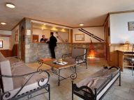 Chalet-appartement Chalet des Neiges - Plein Sud-10