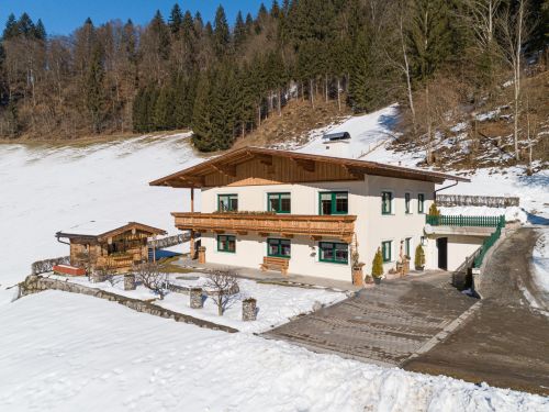 Appartement Haus am Wald 6 7 personen Tirol