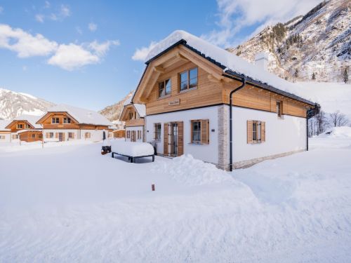 chalet-riesneralm-bente-8-10-personen