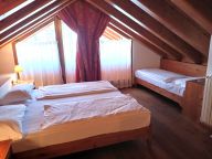 Chalet-appartement Baita Antlia-7