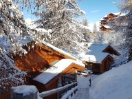 Chalet De Vallandry Le Vent en Poupe met outdoorsauna-24