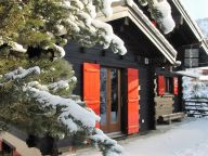 Chalet Les Jeunes-15
