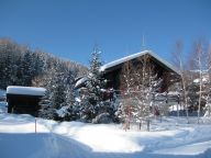 Chalet Les Jeunes-11