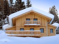 Chalet Alpendorf Dachstein-West Enzian-20