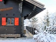Chalet Les Jeunes-13