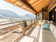 Chalet-appartement Le Théleme-3