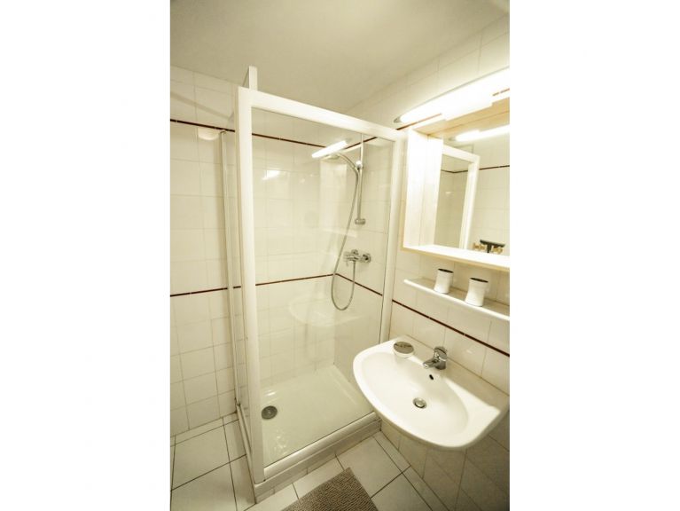 Chalet-appartement La Puce