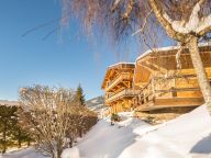 Chalet Le Joyau des Neiges met sauna en whirlpool-20