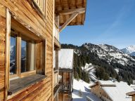 Chalet-appartement Les Portes du Grand Massif-28