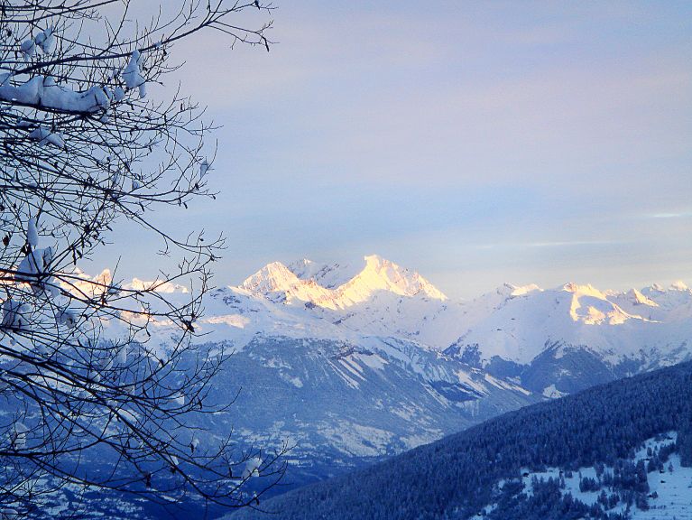Chalet Albert