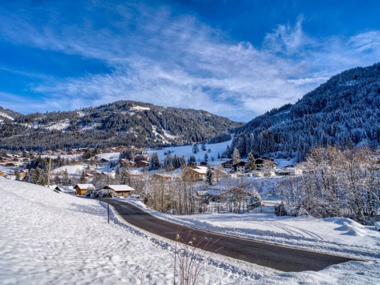 Chalet Alpina