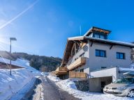 Chalet Golden Hirsch Combinatie van 2 chalets-17