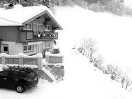 Chalet Resinger-16