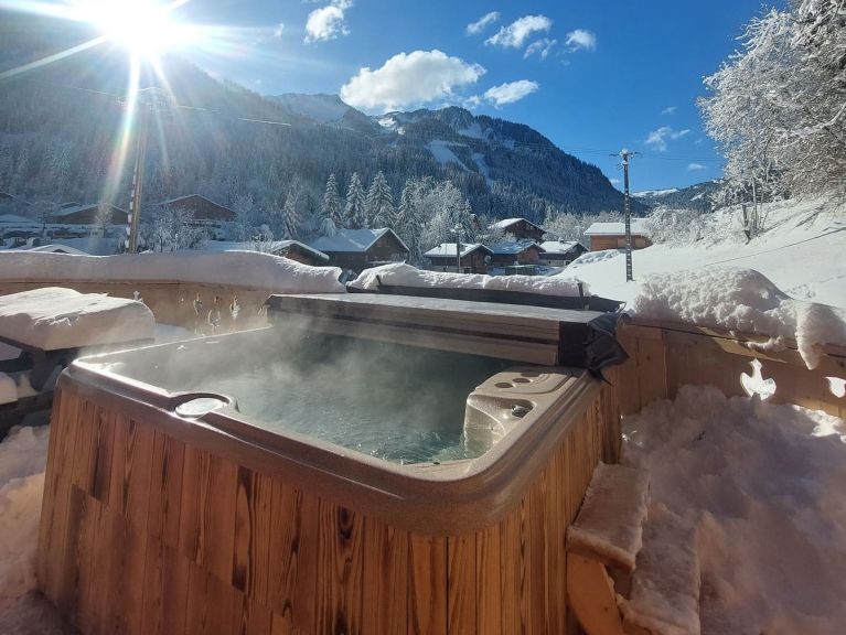 Chalet Alpina