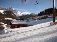 Chalet Alpendorf Dachstein-West Gamsblume-16