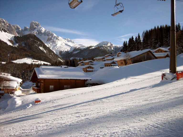Chalet Alpendorf Dachstein-West Gamsblume