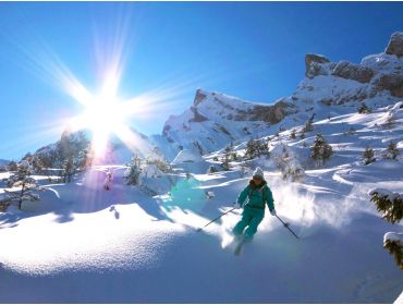 Skigebied Massif des Aravis-2