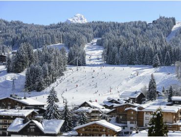 Skidorp Authentiek wintersportdorp; zeer geschikt voor beginners en gezinnen-3