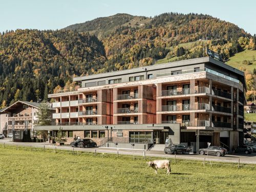 Chalet-appartement AlpenParks Taxacher Studio Superior - 2-4 personen