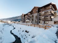 Chalet-appartement Das Neukirchen Penthouse Type 3a-72