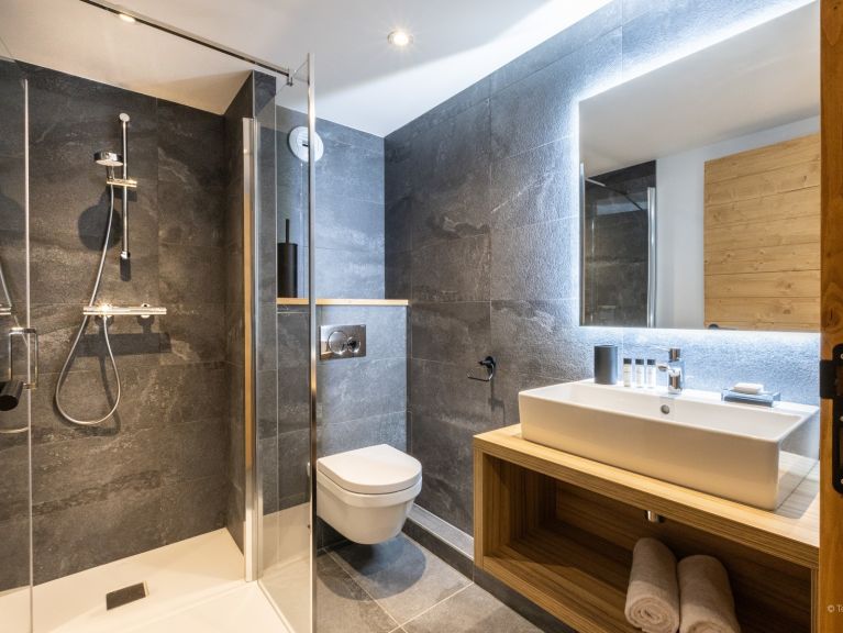 Chalet-appartement Le Flocon Blanc