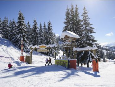 Skidorp Authentiek wintersportdorp; zeer geschikt voor beginners en gezinnen-4