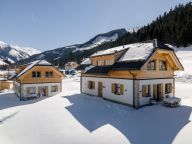 Chalet Riesneralm Elau-21