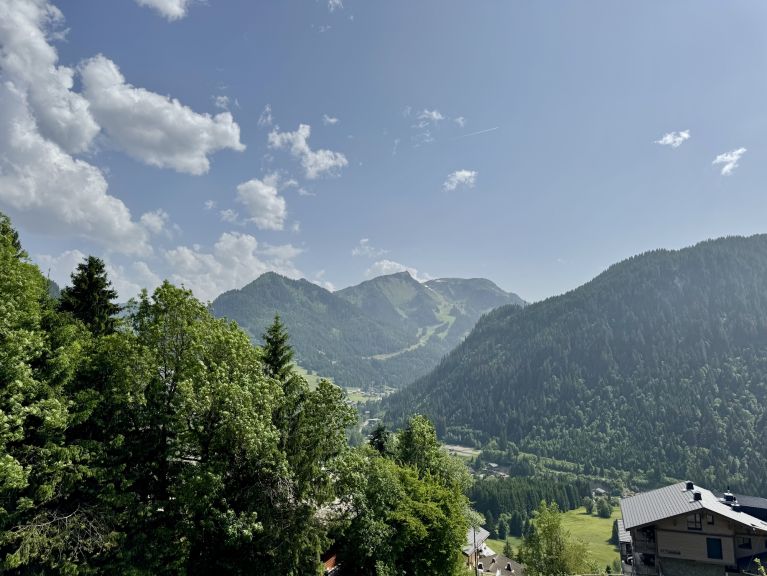 Chalet-appartement l'Alchimie