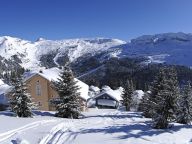 Chalet Hameau de Flaine supérieur met sauna-16