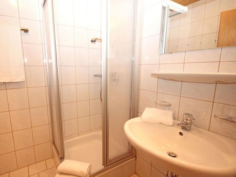 Chalet-appartement Voithofer Top 3