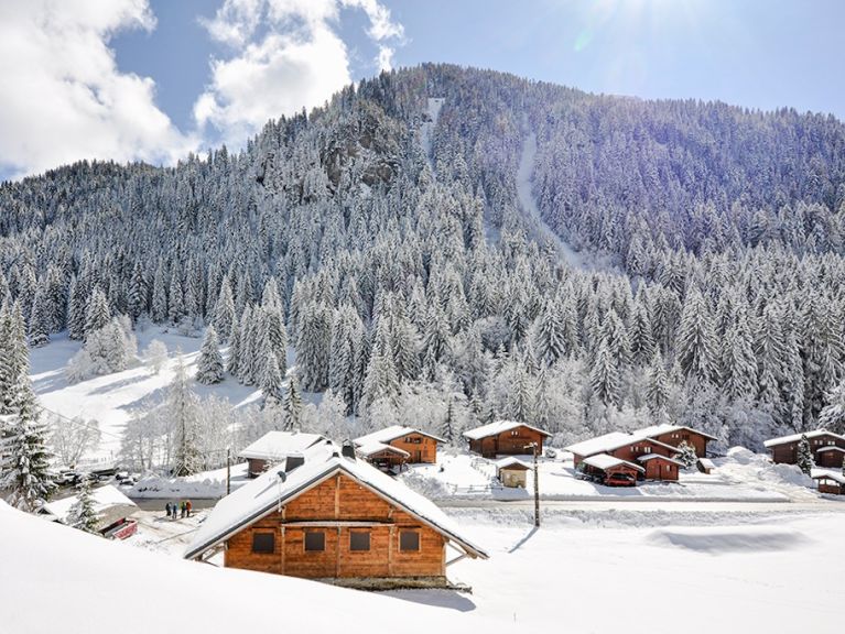 Chalet-appartement Les Mérisiers-en Haut