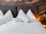 Chalet-appartement Das Neukirchen Type 3a-16