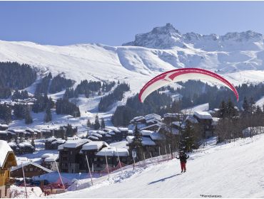 Skigebied Le Grand Domaine-3