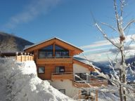 Chalet-appartement Alpenchalet am Wildkogel Gehele chalet met wellnessruimte-4