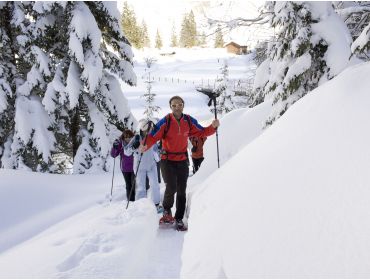 Skidorp Charmant wintersportdorpje met goede aansluiting op La Plagne-14