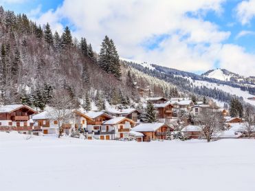 Saalbach-Hinterglemm-Leogang-Fieberbrunn