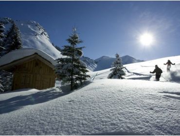 Skidorp Authentiek en levendig wintersportdorp bij Les Portes du Soleil-20