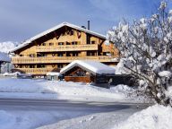 Chalet-appartement Le Grand Ermitage-17