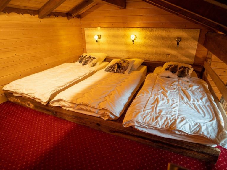 Chalet Alpina