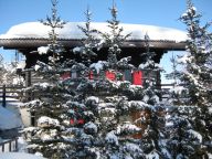 Chalet Les Jeunes-12