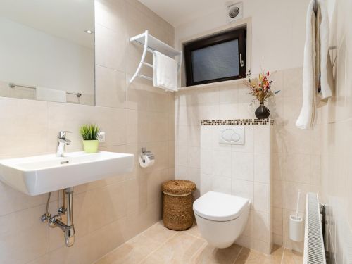 Appartement Alpensteinbock Type B - 8-10 personen – afbeelding 2