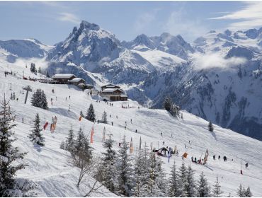 Skidorp Charmant wintersportdorpje met goede aansluiting op La Plagne-9