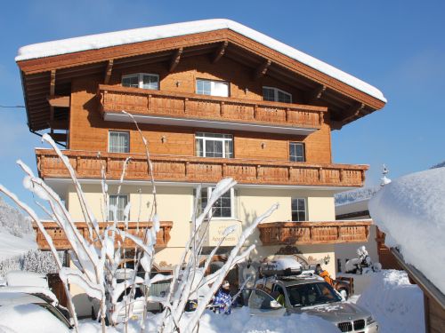 Appartement Vicky - 4 personen in Niederau - Ski Juwel Alpbachtal Wildschönau, Oostenrijk foto 6319651