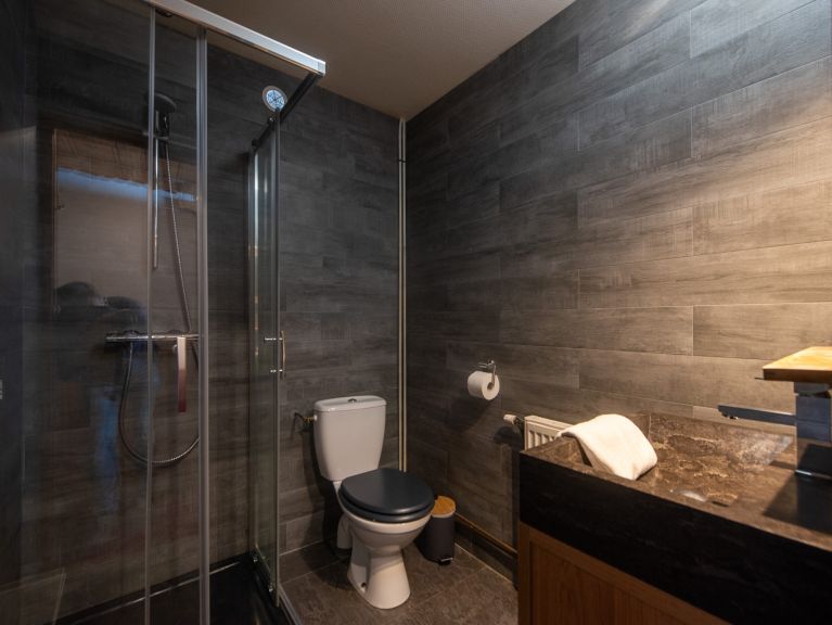 Appartement Les Chalets du Thorens