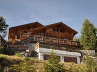 Chalet Le Cerf-27