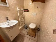 Chalet-appartement Lagrange-9